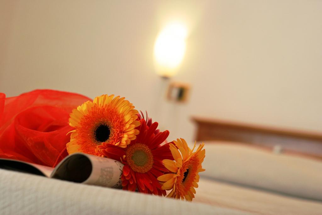 Hotel Joli Park - Caroli