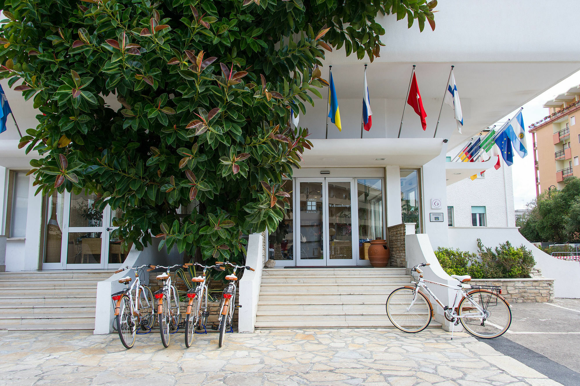 Hotel Joli Park - Caroli